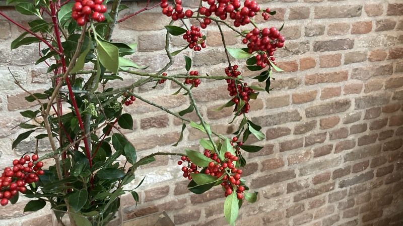 Kerkdiensten Ontmoetingskerk